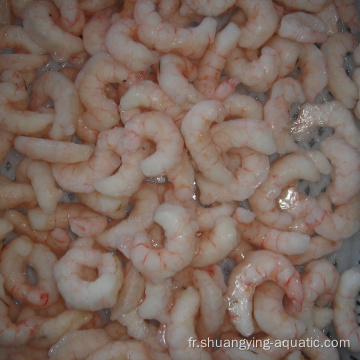 Solenocera rouge de crevettes surgelées surgelé pour l&#39;Espagne